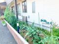 wkfusa_image31